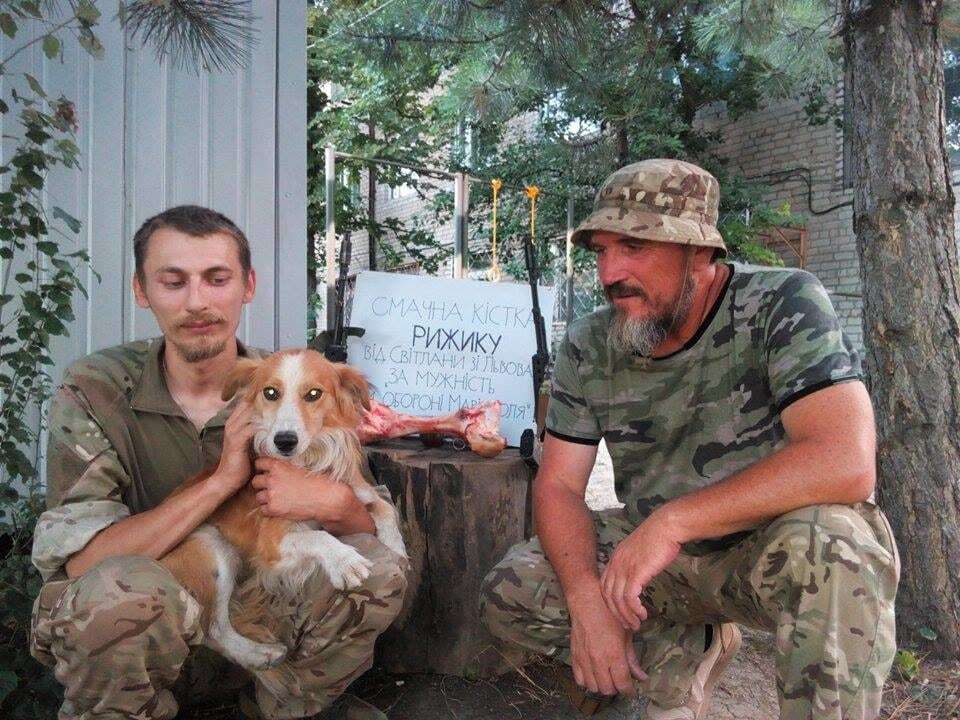 Маріуполь охороняє пожежний пес "Рижик": опубліковано фото