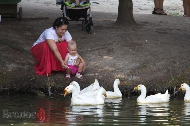 Во Львове отметили юбилейный "Праздник хлеба": фото торжества