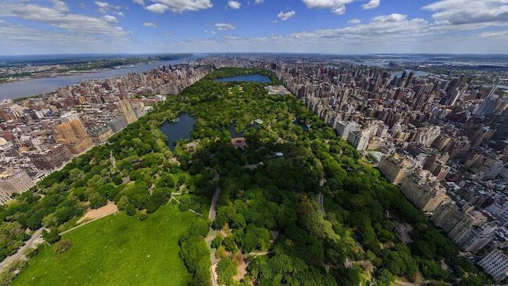 20 изумительных фотографий Центрального парка в Нью-Йорке 