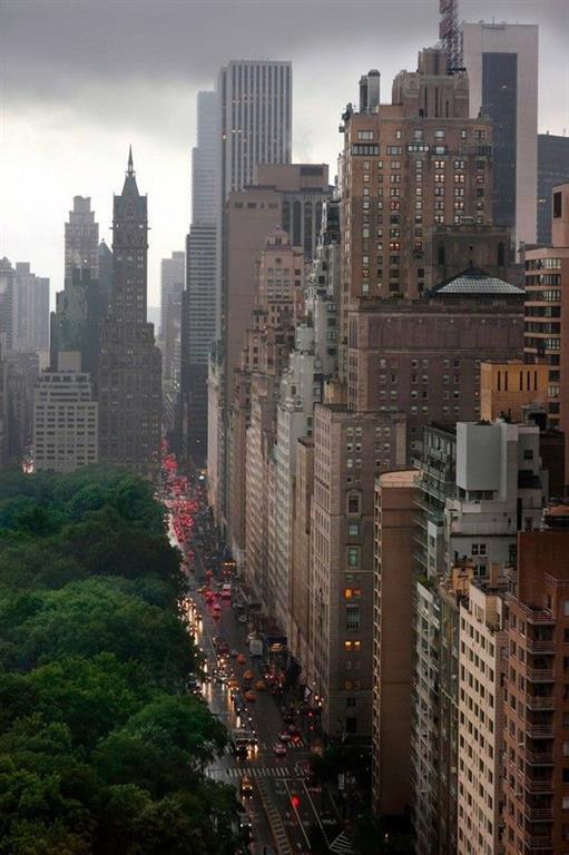 20 изумительных фотографий Центрального парка в Нью-Йорке 