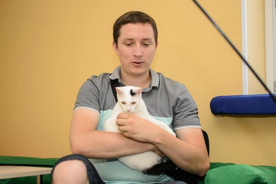 В Киеве открылось кафе с котами: фоторепортаж