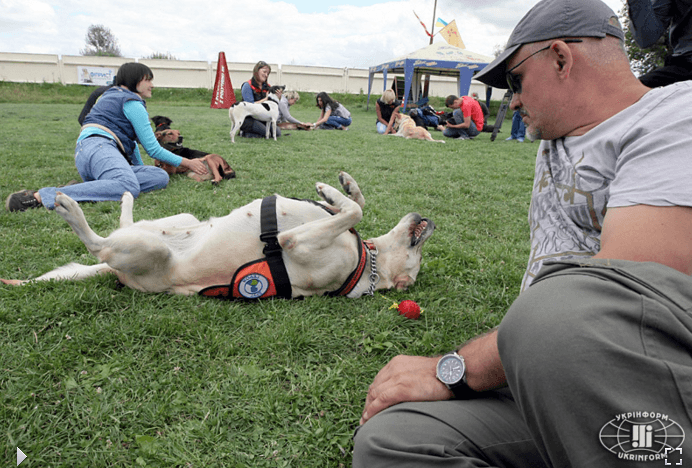 Канадцы дрессировали собак-помощников для бойцов АТО: фоторепортаж