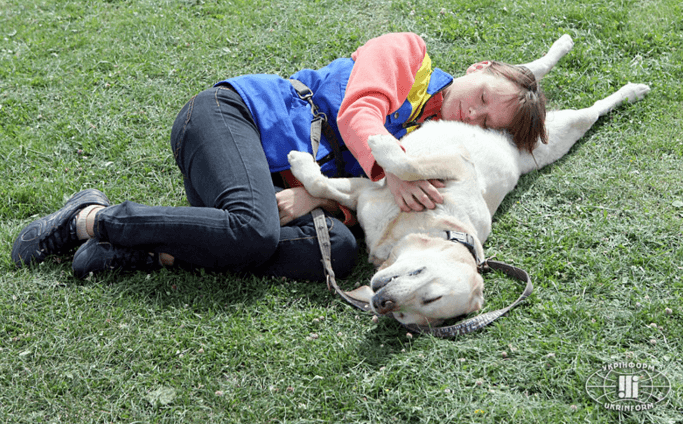 Канадцы дрессировали собак-помощников для бойцов АТО: фоторепортаж