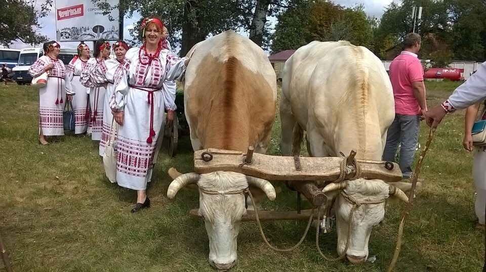 Как проходит знаменитая Сорочинская ярмарка: фоторепортаж