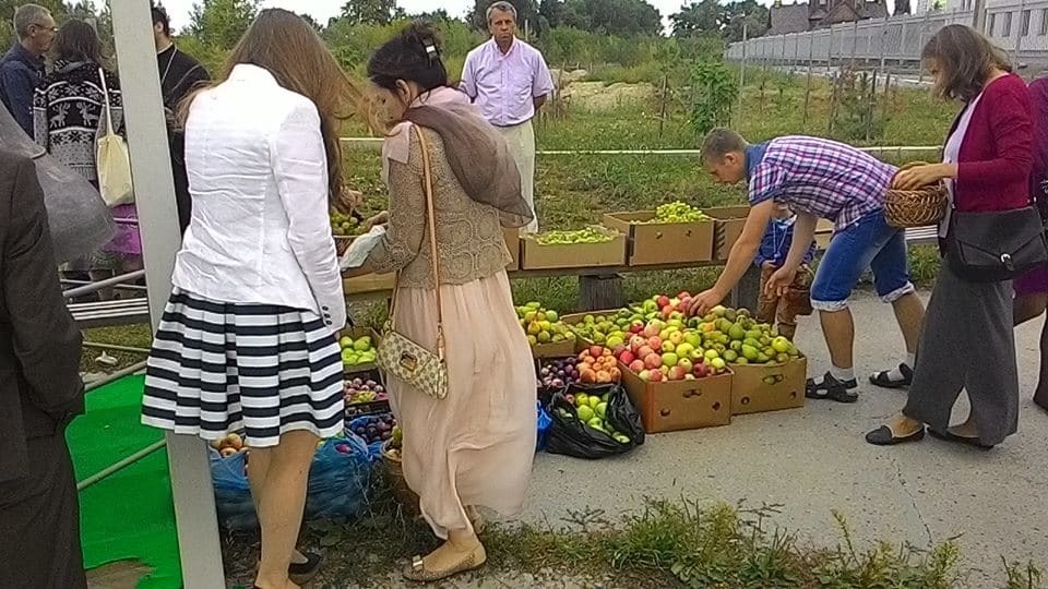 Киевляне собрали фрукты для воинов АТО: фотофакт