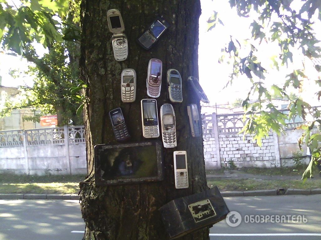 В Киеве появилось "мобильное" дерево: фотофакт