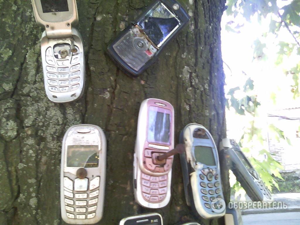 В Киеве появилось "мобильное" дерево: фотофакт