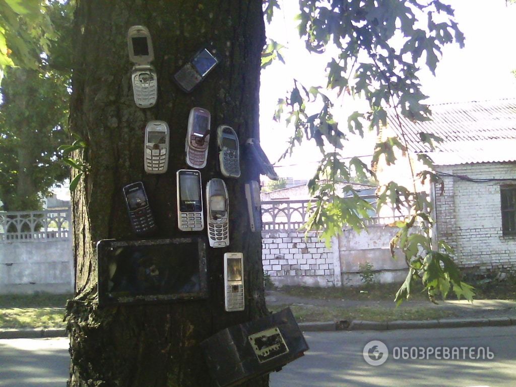 У Києві з'явилося "мобільне" дерево: фотофакт