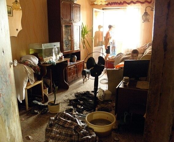 В Киеве дети живут в квартире со "стаей" собак и котов: фотофакт