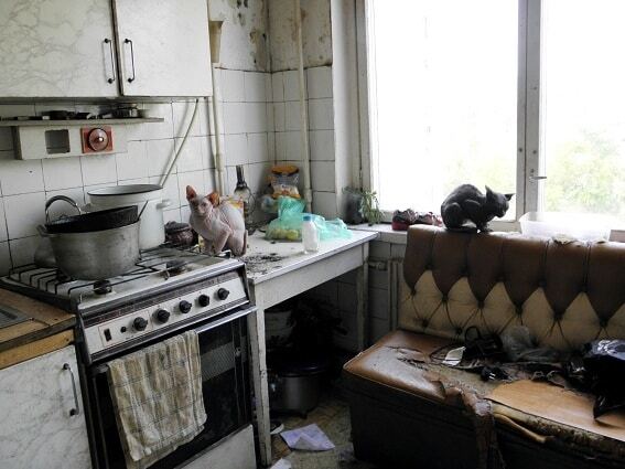 У Києві діти живуть у квартирі зі "зграєю" собак і котів: фотофакт