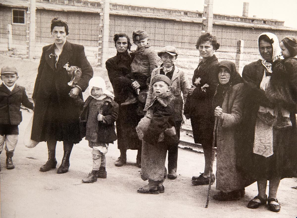 Освенцимский альбом: фотографии