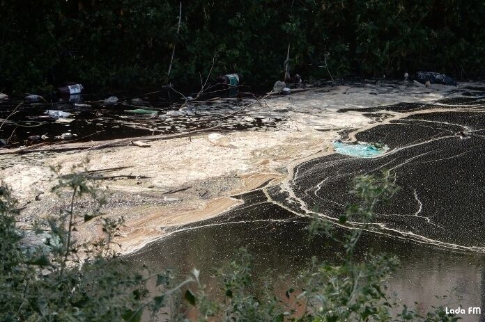 Эксперты оценят масштабы экологической катастрофы в Ладыжине