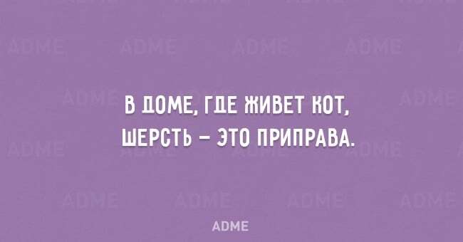 20 открыток о домашних хлопотах, которые знакомы каждому