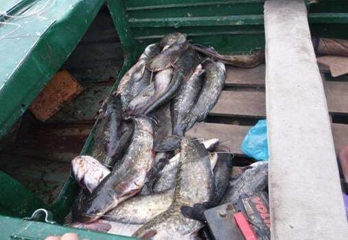 На Київщині затримали любителів чорнобильської риби: фотофакт