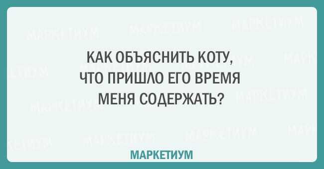 Без кота и жизнь не та: 20 открыток, которые поймет каждый кошатник