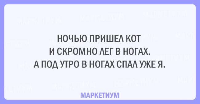 Без кота и жизнь не та: 20 открыток, которые поймет каждый кошатник