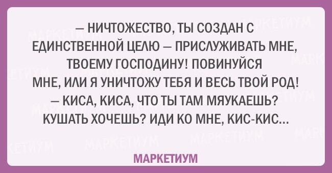 Без кота и жизнь не та: 20 открыток, которые поймет каждый кошатник