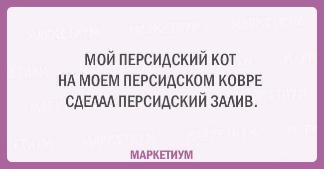 Без кота и жизнь не та: 20 открыток, которые поймет каждый кошатник