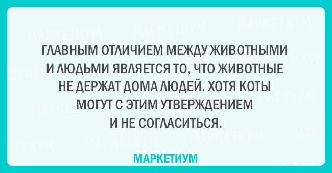 Без кота и жизнь не та: 20 открыток, которые поймет каждый кошатник