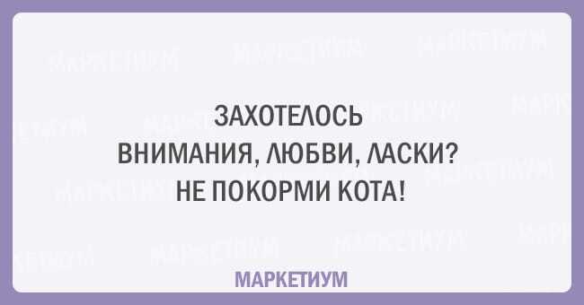 Без кота и жизнь не та: 20 открыток, которые поймет каждый кошатник