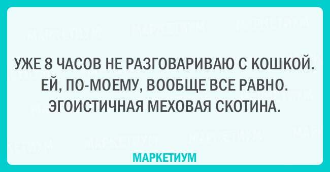 Без кота и жизнь не та: 20 открыток, которые поймет каждый кошатник