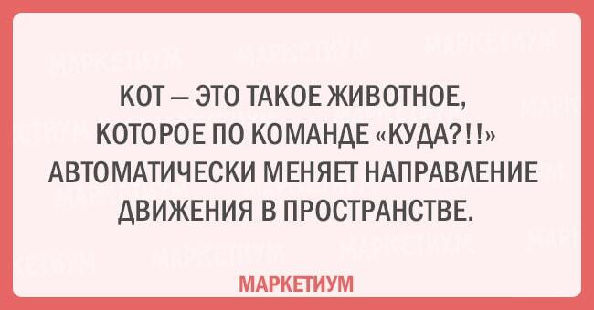 Без кота и жизнь не та: 20 открыток, которые поймет каждый кошатник