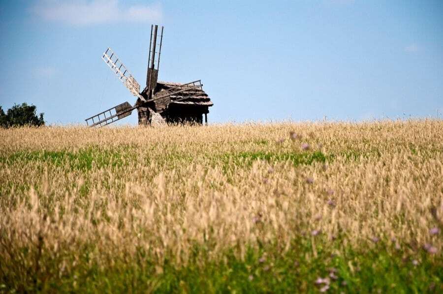 25 фотодоказів того, що український хліб - не просто їжа