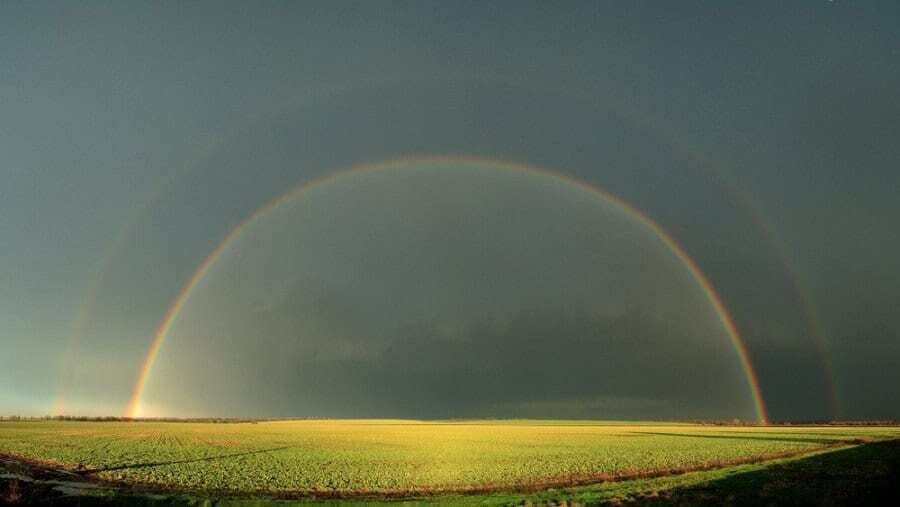 25 фотодоказів того, що український хліб - не просто їжа