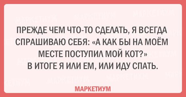 Без кота и жизнь не та: 20 открыток, которые поймет каждый кошатник