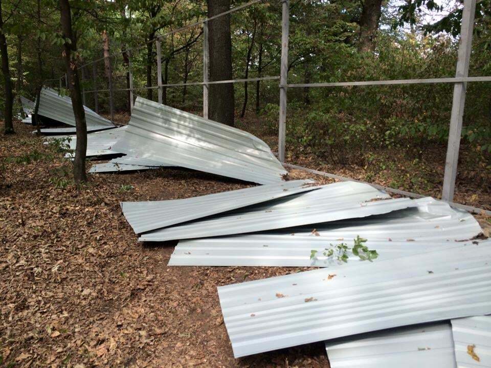 Активісти знесли будівельний паркан в заповідному лісі під Києвом: опубліковані фото і відео