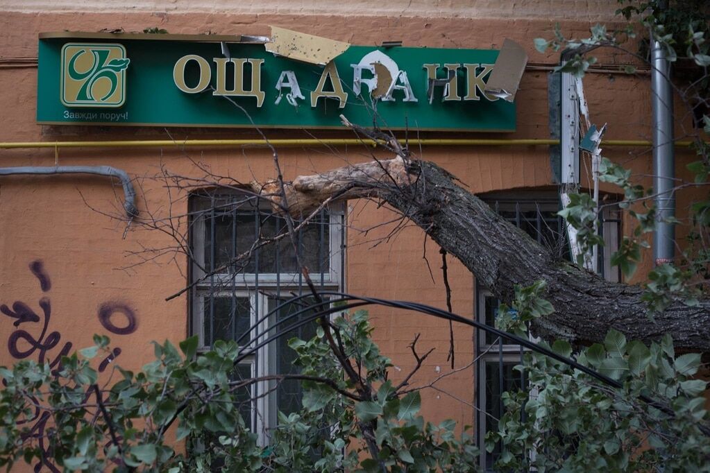 В Киеве рухнуло огромное дерево: досталось автомобилям и банку. Фотофакт