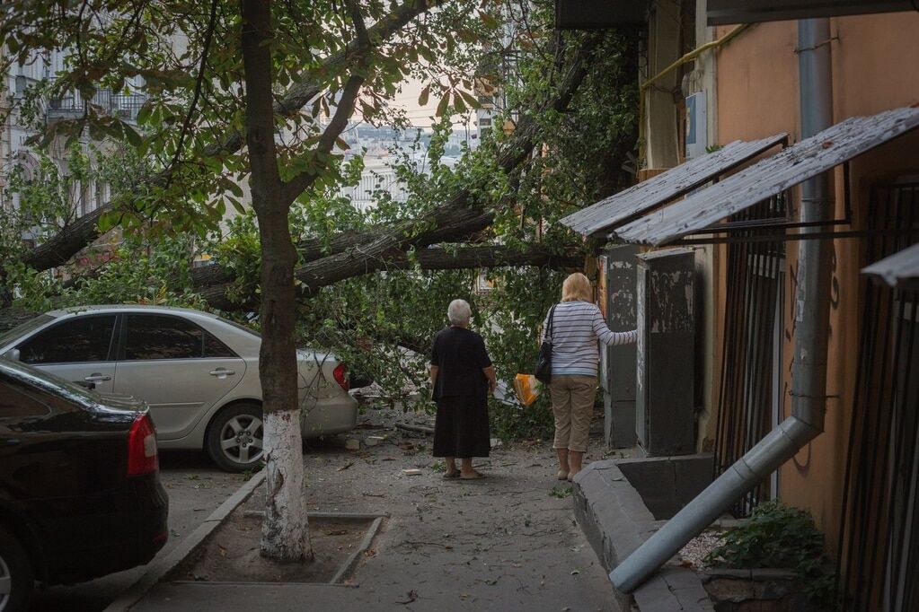 В Киеве рухнуло огромное дерево: досталось автомобилям и банку. Фотофакт