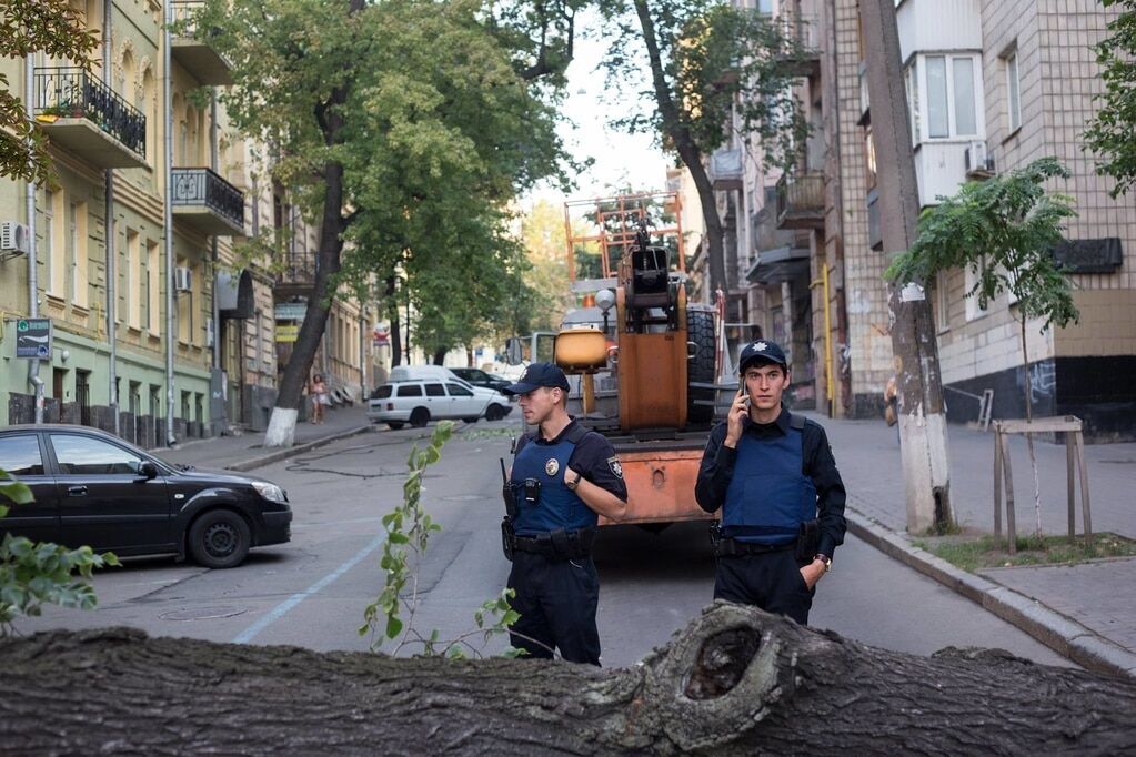 В Киеве рухнуло огромное дерево: досталось автомобилям и банку. Фотофакт