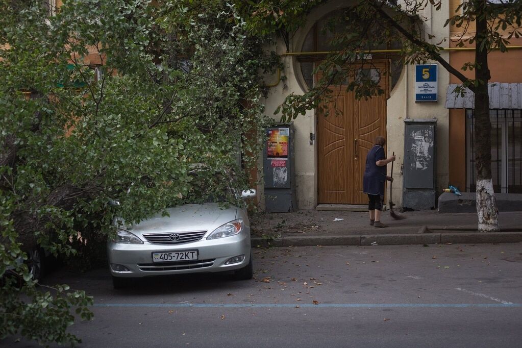 В Киеве рухнуло огромное дерево: досталось автомобилям и банку. Фотофакт