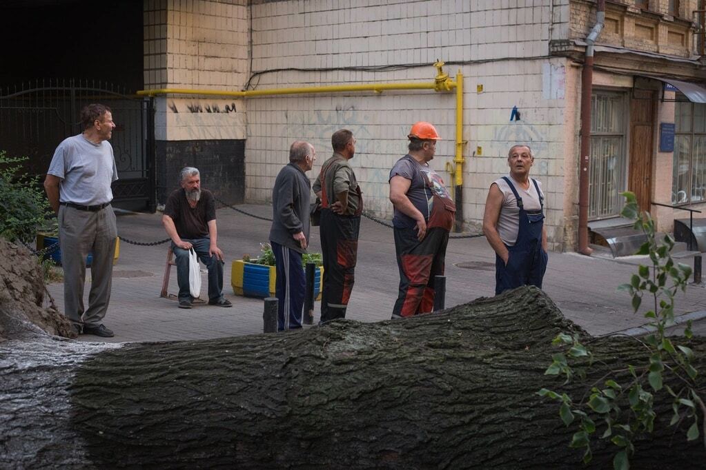 В Киеве рухнуло огромное дерево: досталось автомобилям и банку. Фотофакт