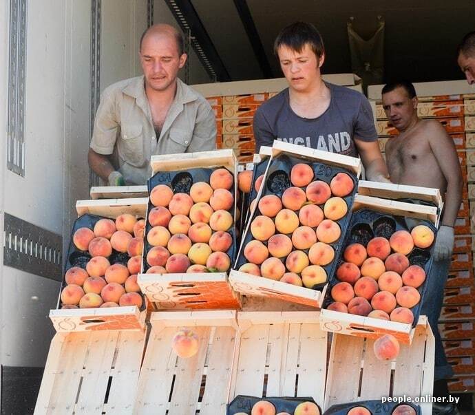 Персик не пройшов! Як на кордоні з Білоруссю зрівняли з землею 200 тонн фруктів: "соковиті" фото