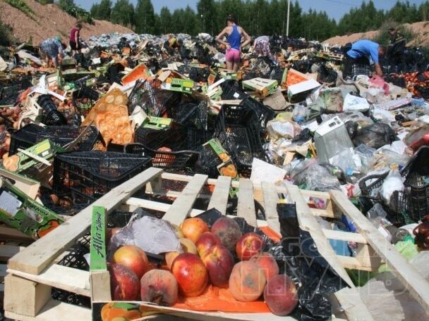 Голодні росіяни збирають залишки роздавленої їжі з полігонів: фотофакт