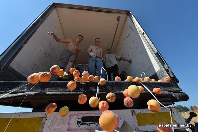 Персик не пройшов! Як на кордоні з Білоруссю зрівняли з землею 200 тонн фруктів: "соковиті" фото