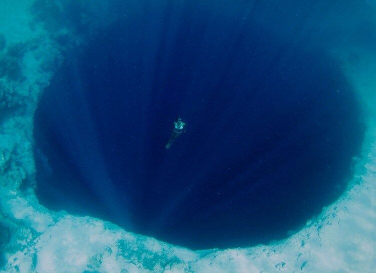 Чудовища из бездны: 20 поразительных фото обитателей морских глубин