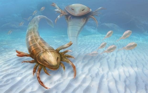 Археологи знайшли останки найдавнішого у світі морського скорпіона