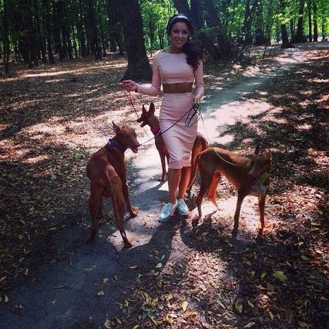 Злату Огневич застукали с тремя огромными псами в киевском парке