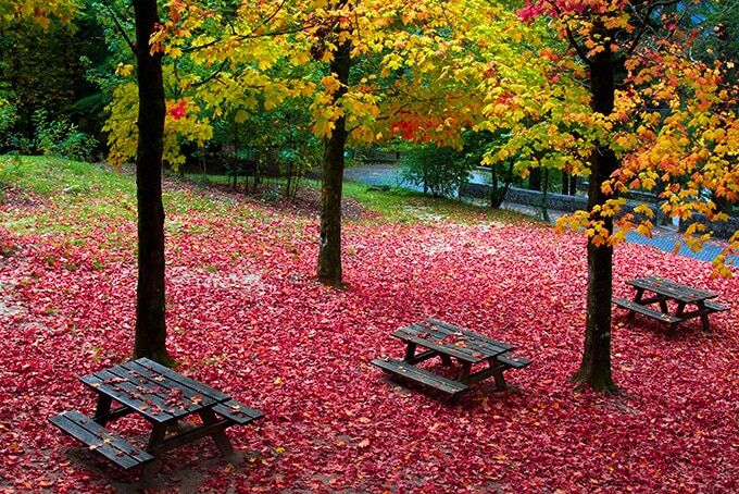 14 мест, где осень особенно прекрасна