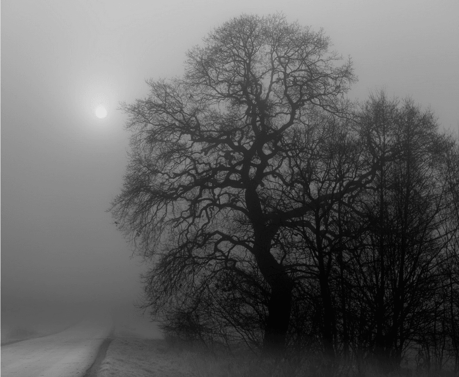 Осеннее туманное утро: 25 фото, наполненных тишиной и покоем