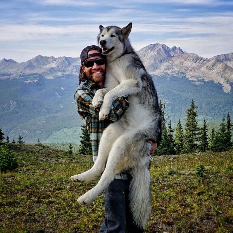Трогательные фото парня, который путешествует по миру со своим псом