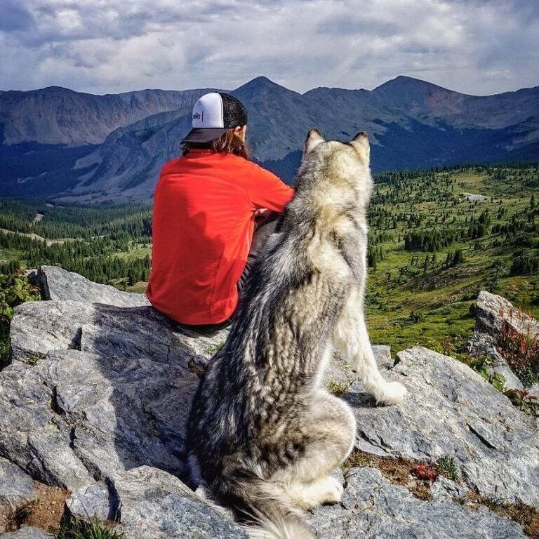 Трогательные фото парня, который путешествует по миру со своим псом