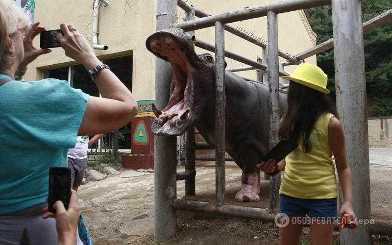 Відновив роботу постраждалий від повені зоопарк у Тбілісі 
