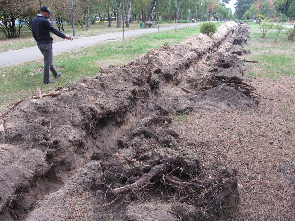 В киевском парке коммунальщики массово "подрыли" деревья: фотофакт