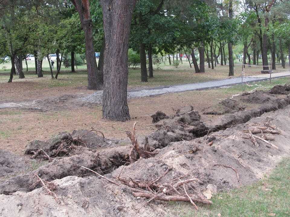В киевском парке коммунальщики массово "подрыли" деревья: фотофакт