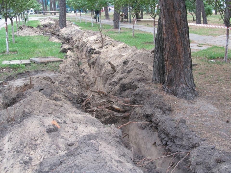 У київському парку комунальники масово "підрили" дерева: фотофакт