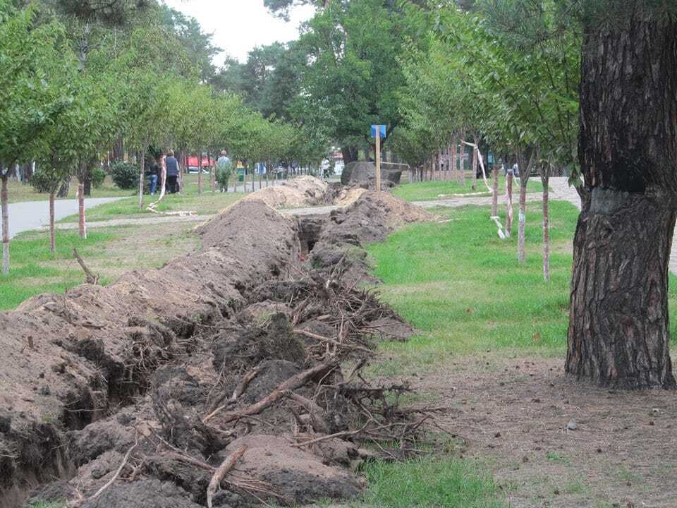 В киевском парке коммунальщики массово "подрыли" деревья: фотофакт